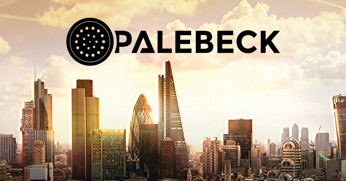 Website design and creation for a telecommunications company, Palebeck.